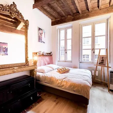 Calm In The Historic District Vieux Apartmán Lyon